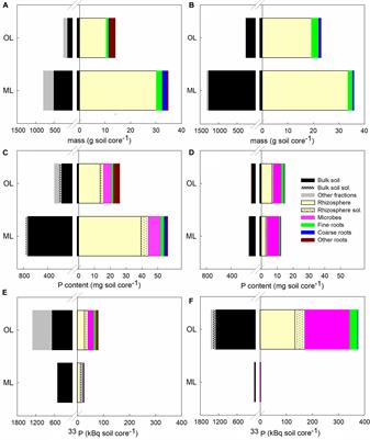 Mycorrhizal Phosphorus Efficiencies and Microbial Competition Drive Root P Uptake